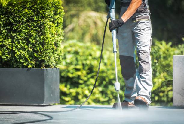 Best Gutter Cleaning  in Haskins, OH